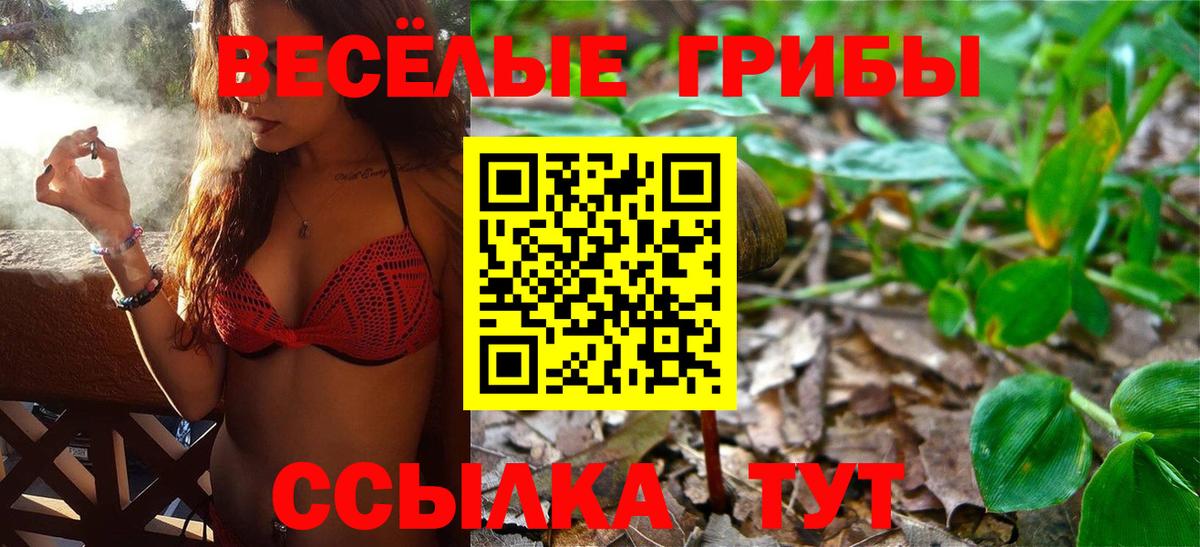 Псилоцибиновые грибы Cubensis  Псилоцибиновые грибы прущие грибы  где купить   Ноябрьск  Вход с VPN 